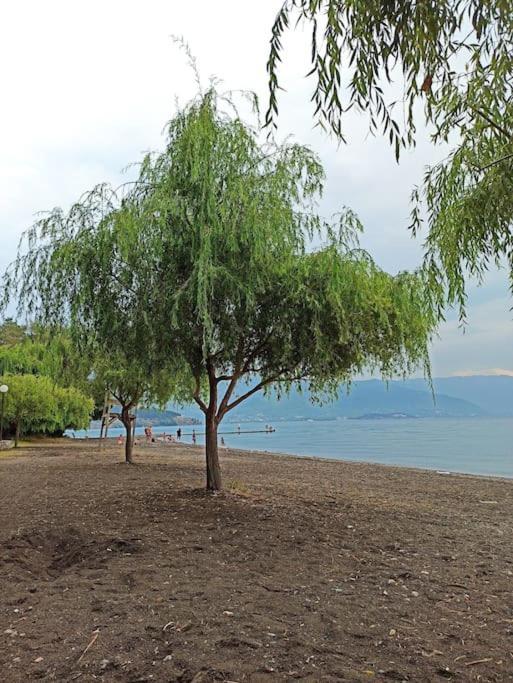 Luka Apartment In The Center Of Ohrid Luaran gambar